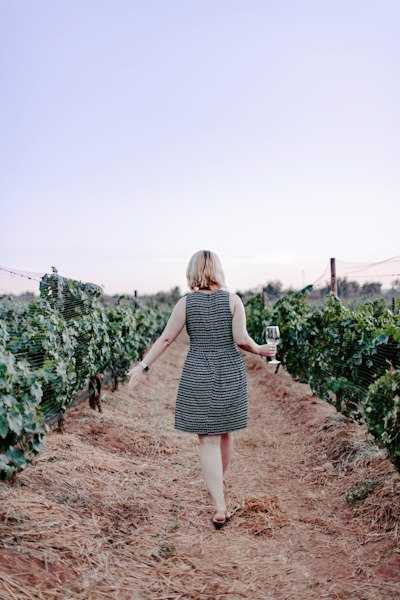 Must-Have Wine Accessories for Wine Lovers 